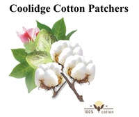 Coolidge Cotton Patchers-Chapter of Arizona Quilters Guild