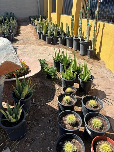 Gallery Image FB%20Pic%203.jpg