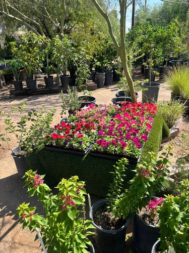 Gallery Image FB%20Pic%204.jpg