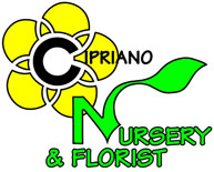 Cipriano Landscaping & Nursery