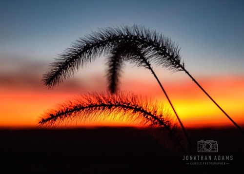 Gallery Image SAMPLE.jpg Gallery Image SAMPLE.jpg