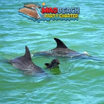 Gallery Image 548202020_1128412622721191_6237030609700127288_n.jpg