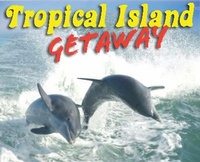 Dolphin Snorkeling Cruise