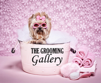 The Grooming Gallery