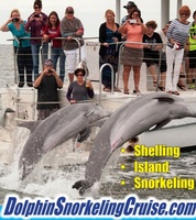 Dolphin Snorkeling Cruise