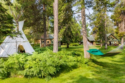 Gallery Image z%20Number%205.jpg Gallery Image z%20Number%205.jpg