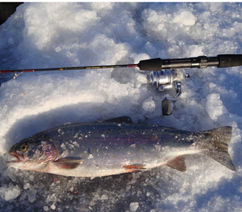 Gallery Image C%20Howes%20fishing%204.png