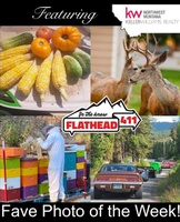 Gallery Image flathead%20411%203.jpg Gallery Image flathead%20411%203.jpg