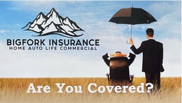 Bigfork Insurance 