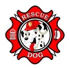 Rescue Dog of Northwest Montana Rescue Dog of Northwest Montana