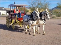 Bigfork Stagecoach at Wrangler Springs Ranch