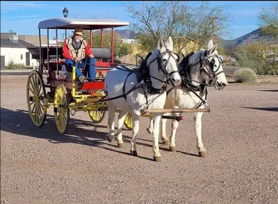 Take a ride with Penny and Patty, Dales driving 