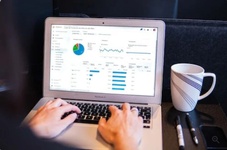 SEO Gone Wild, LLC 