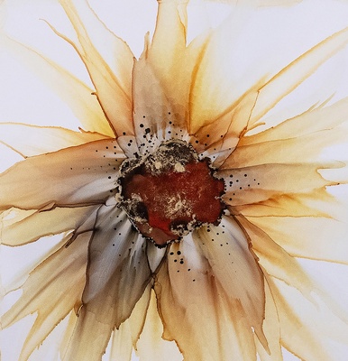 Gallery Image z%20jenn2.jpg