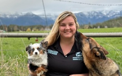 Balanced Tails Montana Balanced Tails Montana