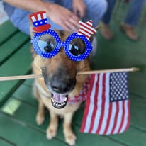 Gallery Image z%20dog8.jpg