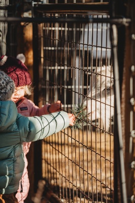 Gallery Image z%20rain%201.jpg