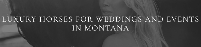 Montana Luxe Events