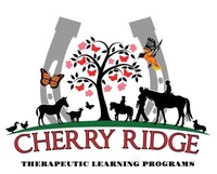 Cherry Ridge Therapeutic Learning Program