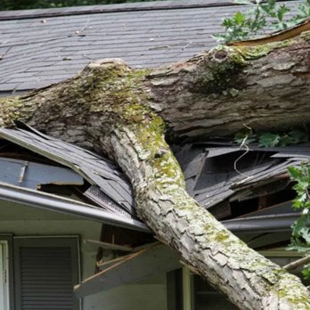 Gallery Image 348s%20(1).jpg