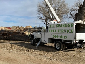 All Seasons Complete Tree Service, LLC 