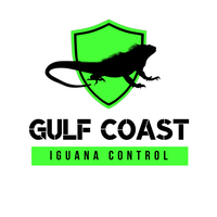 Gulf Coast Iguana Control