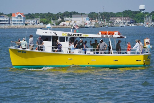 Bay Bee Fishing Charters