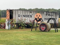 Dinges Fresh Produce - Fall Harvest Dinges Fresh Produce - Fall Harvest