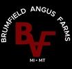 Brumfield Angus Farms
