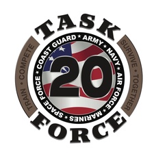 Task Force 20