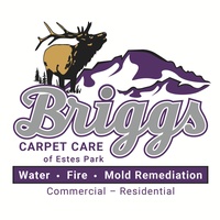 Briggs Carpet Care