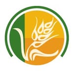 Fresh Choice Lake Forest
