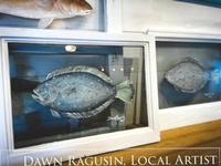 Dawn Ragusin LLC