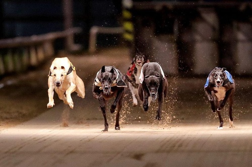 Gallery Image 486684535_1193845839002904_4891190694419546166_n.jpg