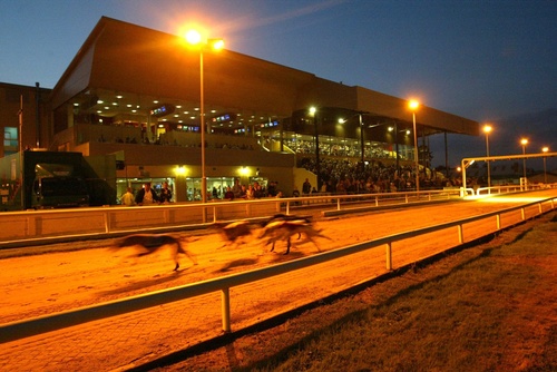 Gallery Image 486824388_1193531455701009_75117725916333600_n.jpg