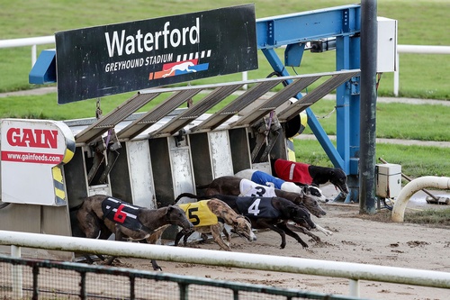 Gallery Image 513488859_1266726628381491_3977941212403100719_n.jpg