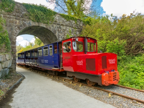 Gallery Image WSVR.jpg