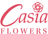 Casia Flowers Casia Flowers