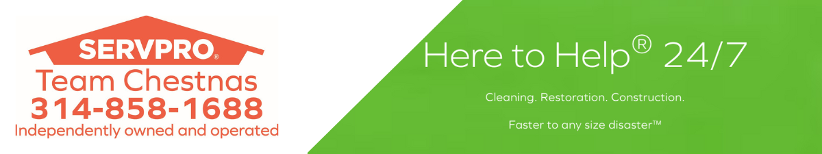 Servpro Team Chestnas