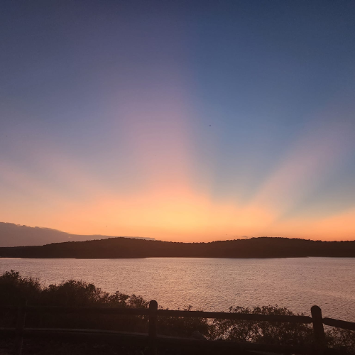 Gallery Image 6%20(2).png