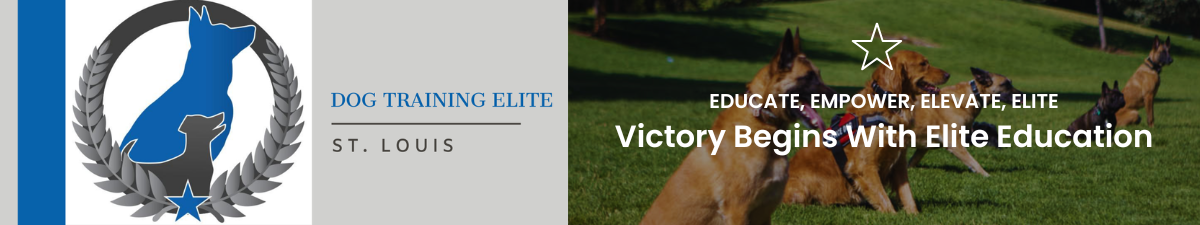 DOG TRAINING ELITE 