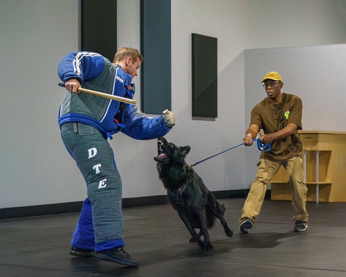 Gallery Image Protection-Tucker.jpg