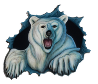 Great White Bear Tours