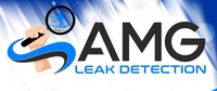 AMG Leak Detection 
