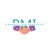 RMI Consulting Services INC 