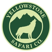 Yellowstone Safari Company