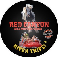 Red Canyon River Trips And Wild Mustang Tours 