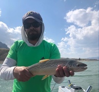 Wild West Fishing Charters