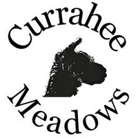 Currahee Meadows, LLC