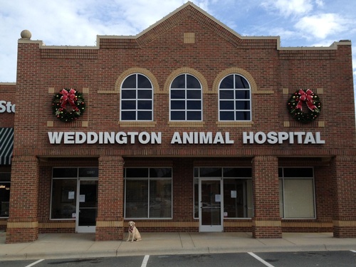 Weddington Animal Hospital | Veterinarians - Union County Chamber